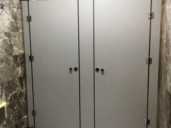 Stainless WC Cabinet
